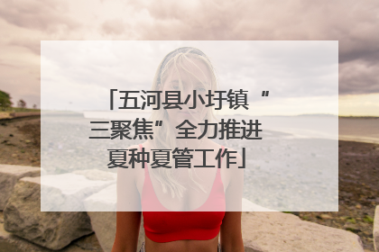 五河县小圩镇“三聚焦”全力推进夏种夏管工作